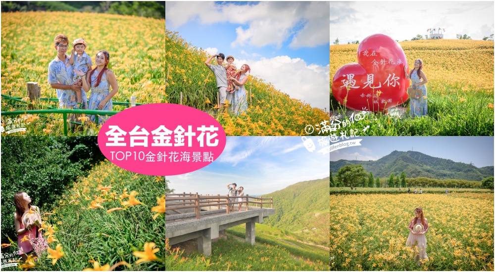 延伸閱讀：【2025全台金針花景點懶人包】TOP10個金針花海秘境玩樂攻略,浪漫一日百合.戀戀夢幻金針花田!