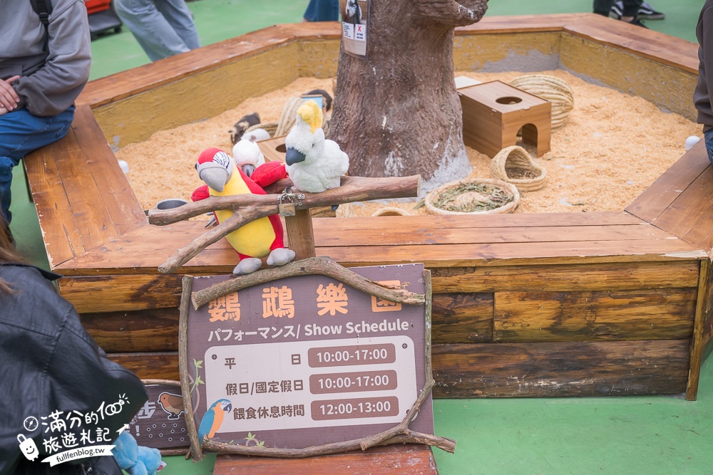 【2025蘭陽動植物王國最新場域玩樂攻略】TOP10必玩主題推薦.澳洲袋鼠.大白鵜鶘.巨嘴鳥.泰迪羊通通可以互動餵食,還能玩手作划船超特別!