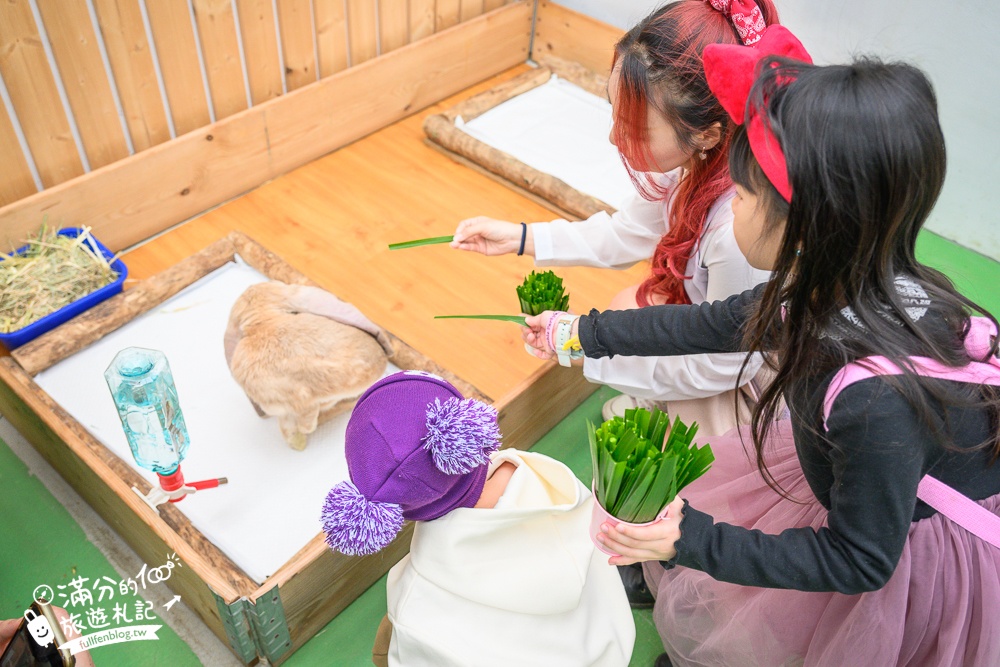 【2025蘭陽動植物王國最新場域玩樂攻略】TOP10必玩主題推薦.澳洲袋鼠.大白鵜鶘.巨嘴鳥.泰迪羊通通可以互動餵食,還能玩手作划船超特別!