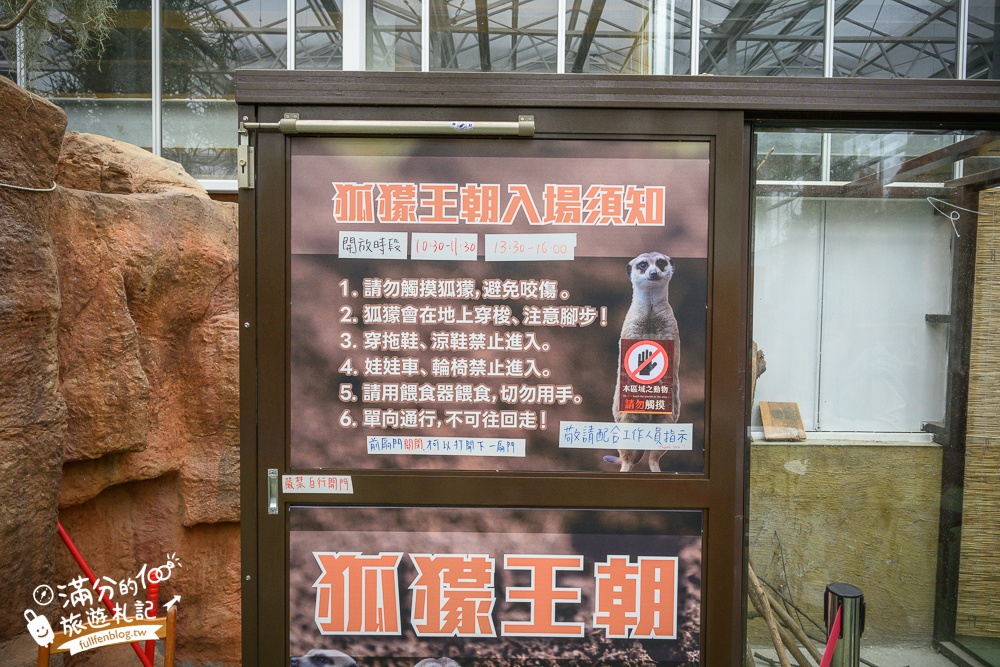 【2025蘭陽動植物王國最新場域玩樂攻略】TOP10必玩主題推薦.澳洲袋鼠.大白鵜鶘.巨嘴鳥.泰迪羊通通可以互動餵食,還能玩手作划船超特別!