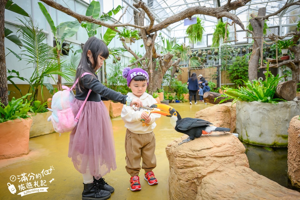 【2025蘭陽動植物王國最新場域玩樂攻略】TOP10必玩主題推薦.澳洲袋鼠.大白鵜鶘.巨嘴鳥.泰迪羊通通可以互動餵食,還能玩手作划船超特別!