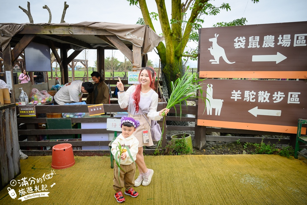 【2025蘭陽動植物王國最新場域玩樂攻略】TOP10必玩主題推薦.澳洲袋鼠.大白鵜鶘.巨嘴鳥.泰迪羊通通可以互動餵食,還能玩手作划船超特別!