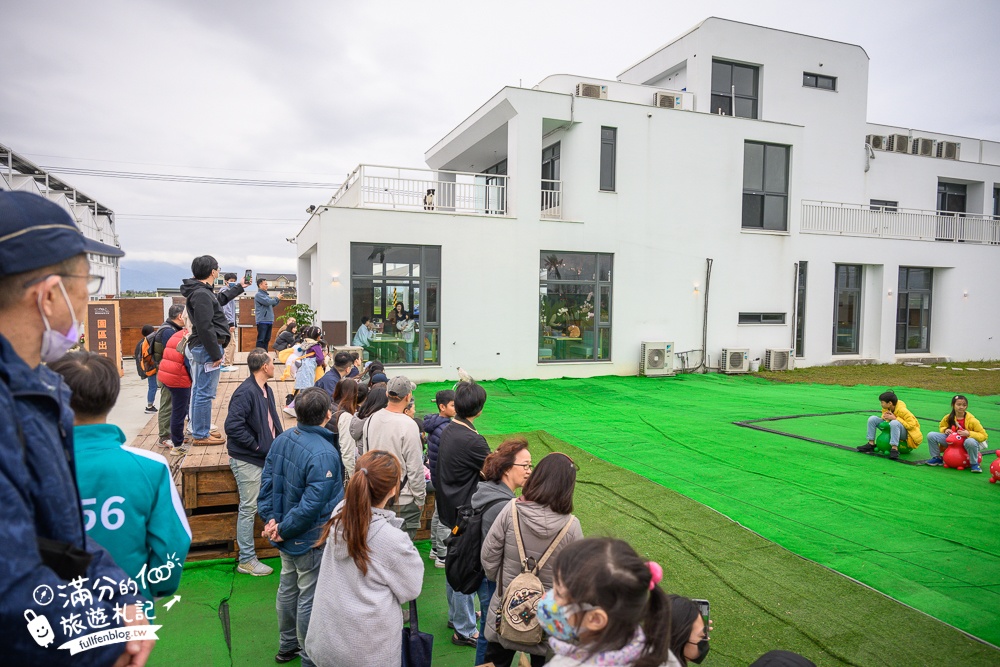 【2025蘭陽動植物王國最新場域玩樂攻略】TOP10必玩主題推薦.澳洲袋鼠.大白鵜鶘.巨嘴鳥.泰迪羊通通可以互動餵食,還能玩手作划船超特別!