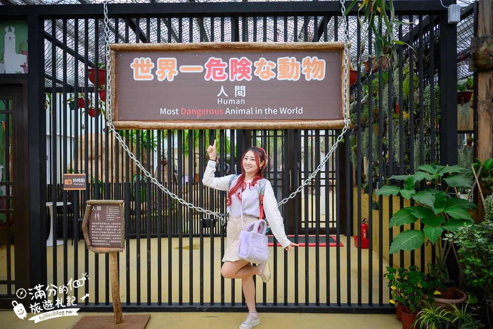 【2025蘭陽動植物王國最新場域玩樂攻略】TOP10必玩主題推薦.澳洲袋鼠.大白鵜鶘.巨嘴鳥.泰迪羊通通可以互動餵食,還能玩手作划船超特別!