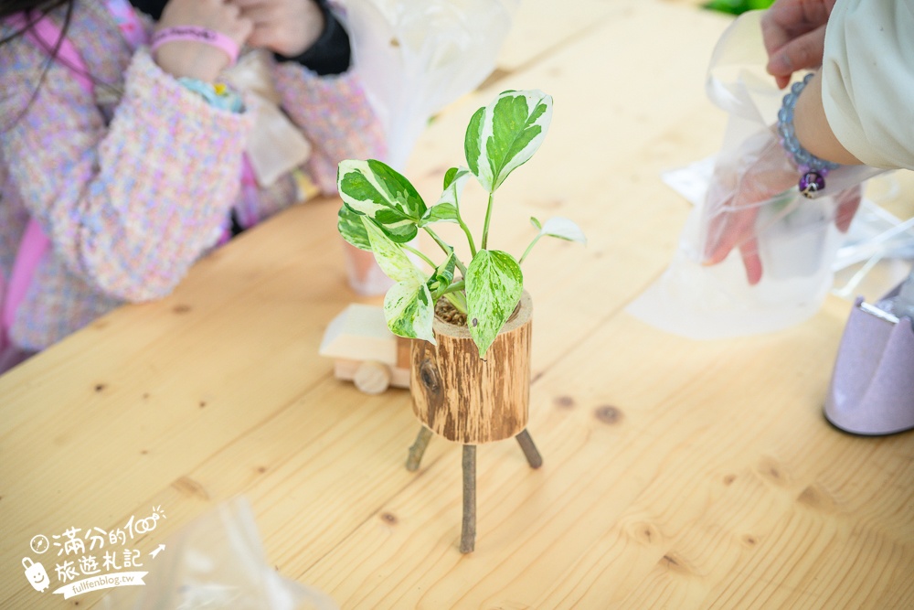 【2025蘭陽動植物王國最新場域玩樂攻略】TOP10必玩主題推薦.澳洲袋鼠.大白鵜鶘.巨嘴鳥.泰迪羊通通可以互動餵食,還能玩手作划船超特別!