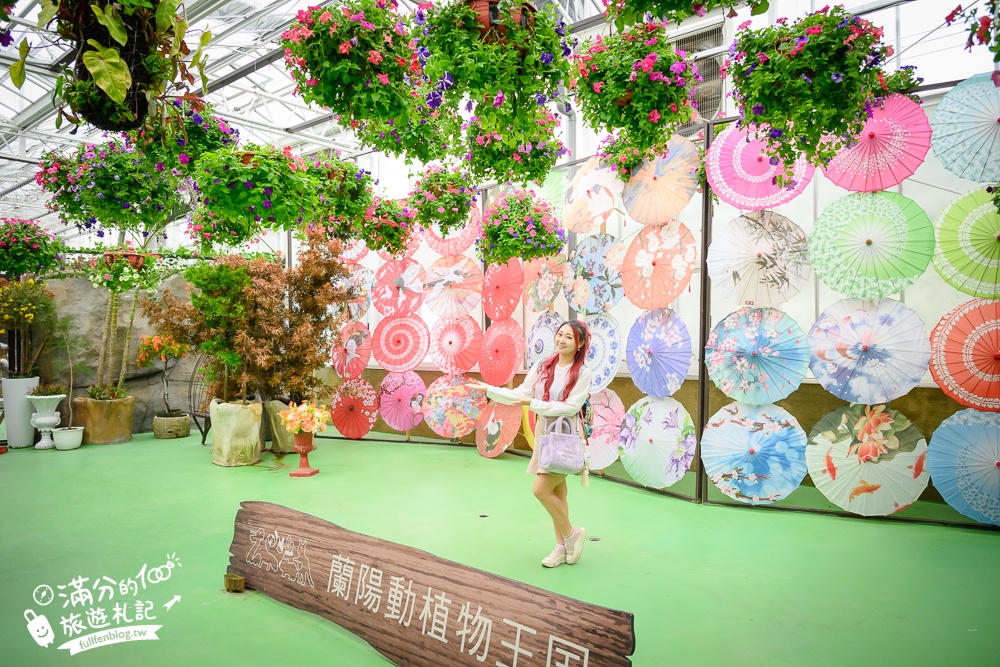 【2025蘭陽動植物王國最新場域玩樂攻略】TOP10必玩主題推薦.澳洲袋鼠.大白鵜鶘.巨嘴鳥.泰迪羊通通可以互動餵食,還能玩手作划船超特別!
