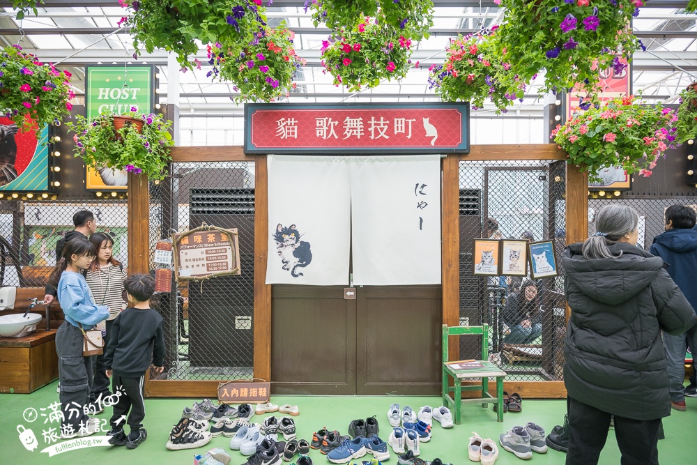 【2025蘭陽動植物王國最新場域玩樂攻略】TOP10必玩主題推薦.澳洲袋鼠.大白鵜鶘.巨嘴鳥.泰迪羊通通可以互動餵食,還能玩手作划船超特別!