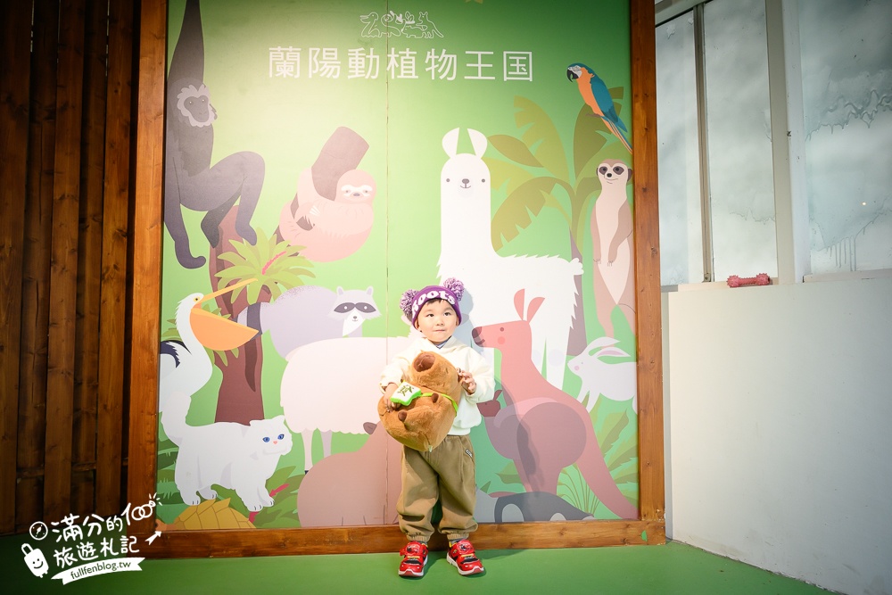 【2025蘭陽動植物王國最新場域玩樂攻略】TOP10必玩主題推薦.澳洲袋鼠.大白鵜鶘.巨嘴鳥.泰迪羊通通可以互動餵食,還能玩手作划船超特別!