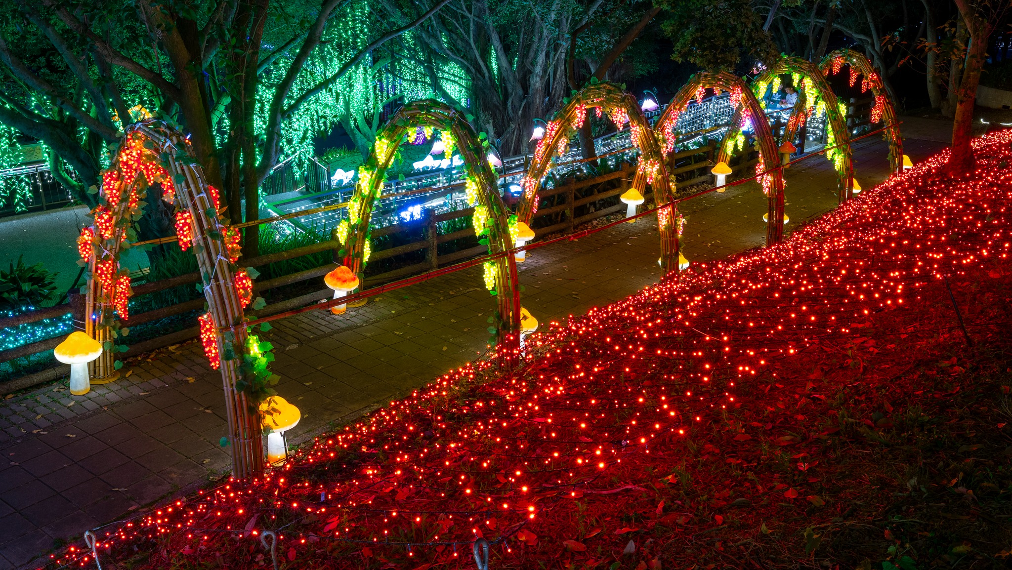 【2026大古山登山步道公園夏日繽紛派對】最新點燈活動時間.欣賞城市燈海,來趟森林裡的奇幻旅程! 【2026大古山登山步道公園夏日繽紛派對】最新點燈活動時間.欣賞城市燈海,來趟森林裡的奇幻旅程!