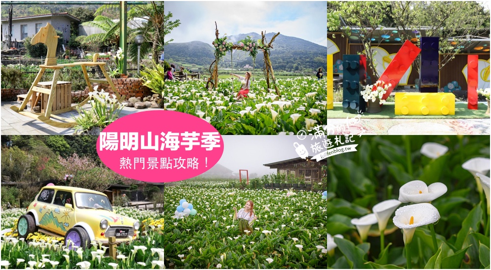【2025陽明山景觀咖啡推薦】TOP10間陽明山夜景餐廳推薦.百萬夜景.竹林秘境.情侶約會必訪,山中最熱鬧的搖滾區!