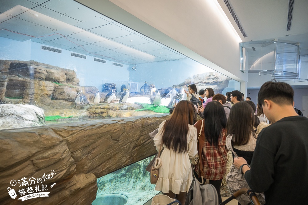 【2025Xpark都會型水生公園】TOP10個人氣拍照點.全台第一座日系都會型水族館！桃園親子景點推薦!