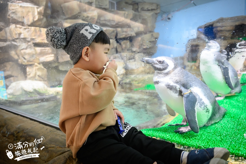 【2025Xpark都會型水生公園】TOP10個人氣拍照點.全台第一座日系都會型水族館！桃園親子景點推薦!