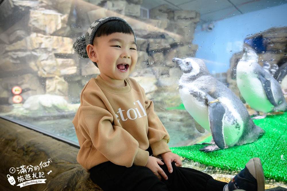 【2025Xpark都會型水生公園】TOP10個人氣拍照點.全台第一座日系都會型水族館！桃園親子景點推薦!