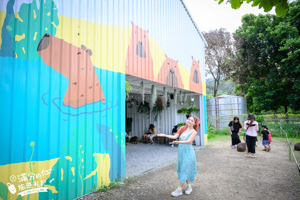 南投新景點【享日啡啡】埔里最新水豚主題餐廳,喝咖啡下午茶.看水豚小鴨泡湯玩水!