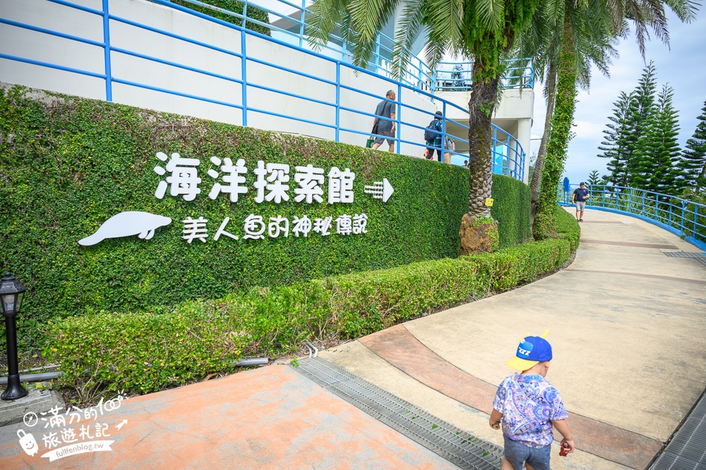 【2025花蓮遠雄海洋公園】最新門票資訊&必玩設施及必看表演攻略,美人魚實境秀.海豚海獅親親互動超特別!