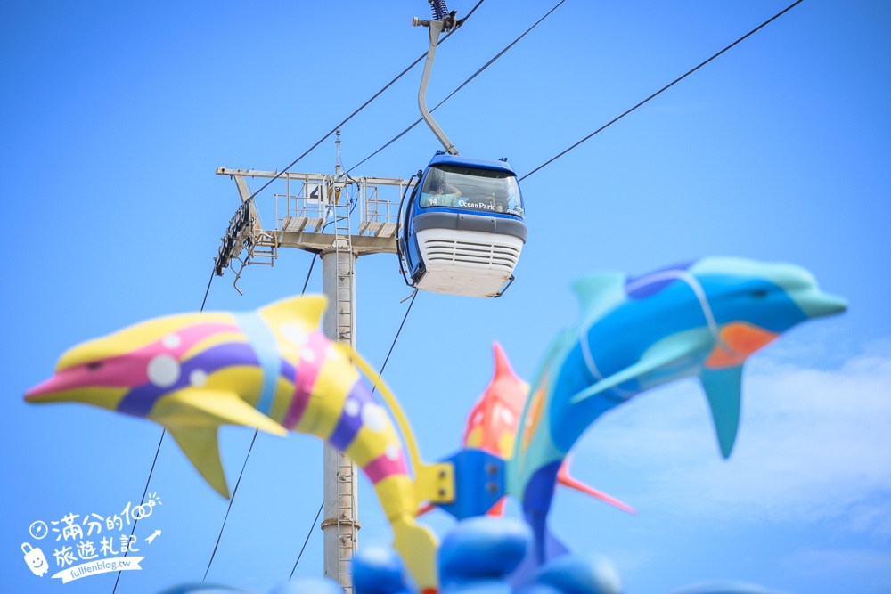【2025花蓮遠雄海洋公園】最新門票資訊&必玩設施及必看表演攻略,美人魚實境秀.海豚海獅親親互動超特別!