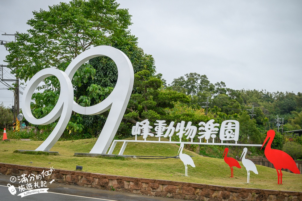 【2025南投九九峰動物樂園】亞洲規模最大鳥類主題王國玩樂攻略,最新門票優惠整理,鸚鵡.鵜鶘.孔雀.大恐龍陪你玩生態!