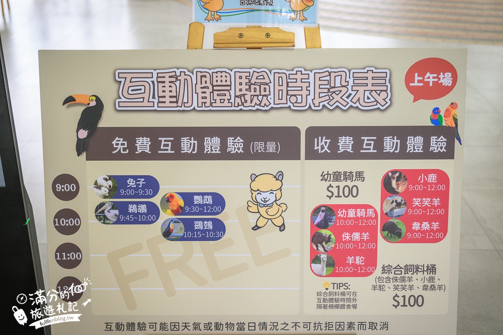 【2025南投九九峰動物樂園】亞洲規模最大鳥類主題王國玩樂攻略,最新門票優惠整理,鸚鵡.鵜鶘.孔雀.大恐龍陪你玩生態!