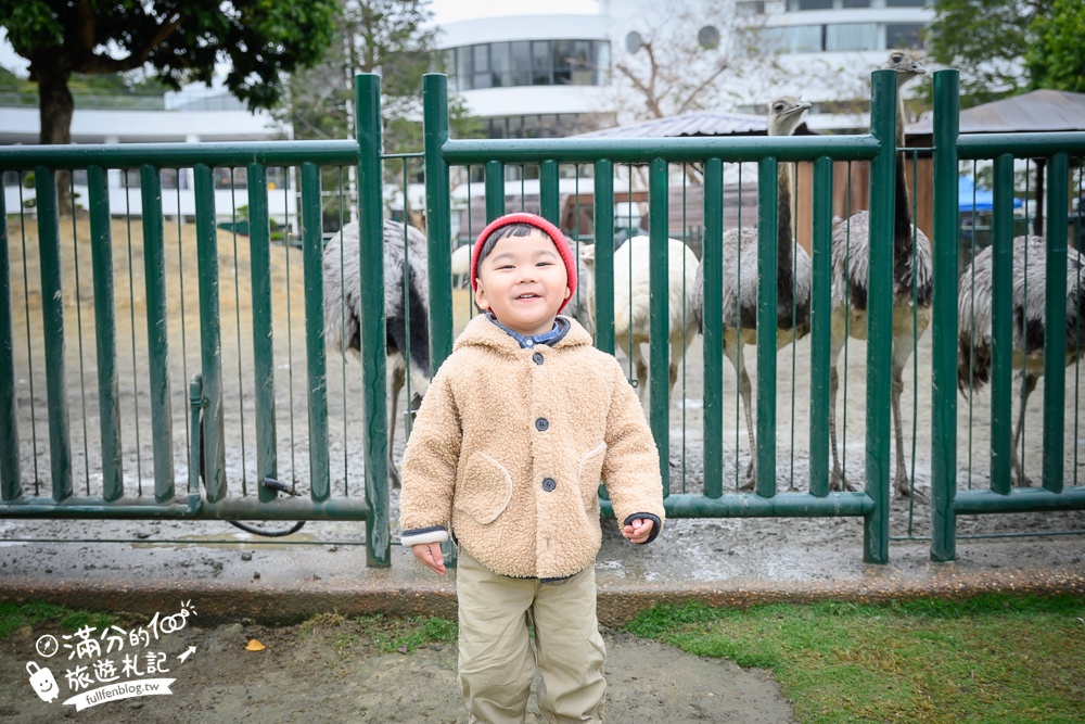 【2025南投九九峰動物樂園】亞洲規模最大鳥類主題王國玩樂攻略,最新門票優惠整理,鸚鵡.鵜鶘.孔雀.大恐龍陪你玩生態!