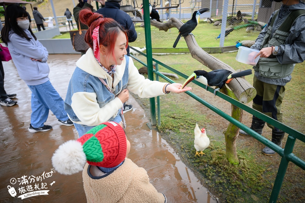 【2025南投九九峰動物樂園】亞洲規模最大鳥類主題王國玩樂攻略,最新門票優惠整理,鸚鵡.鵜鶘.孔雀.大恐龍陪你玩生態!