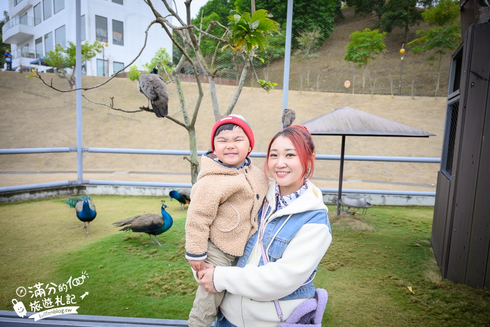 【2025南投九九峰動物樂園】亞洲規模最大鳥類主題王國玩樂攻略,最新門票優惠整理,鸚鵡.鵜鶘.孔雀.大恐龍陪你玩生態!