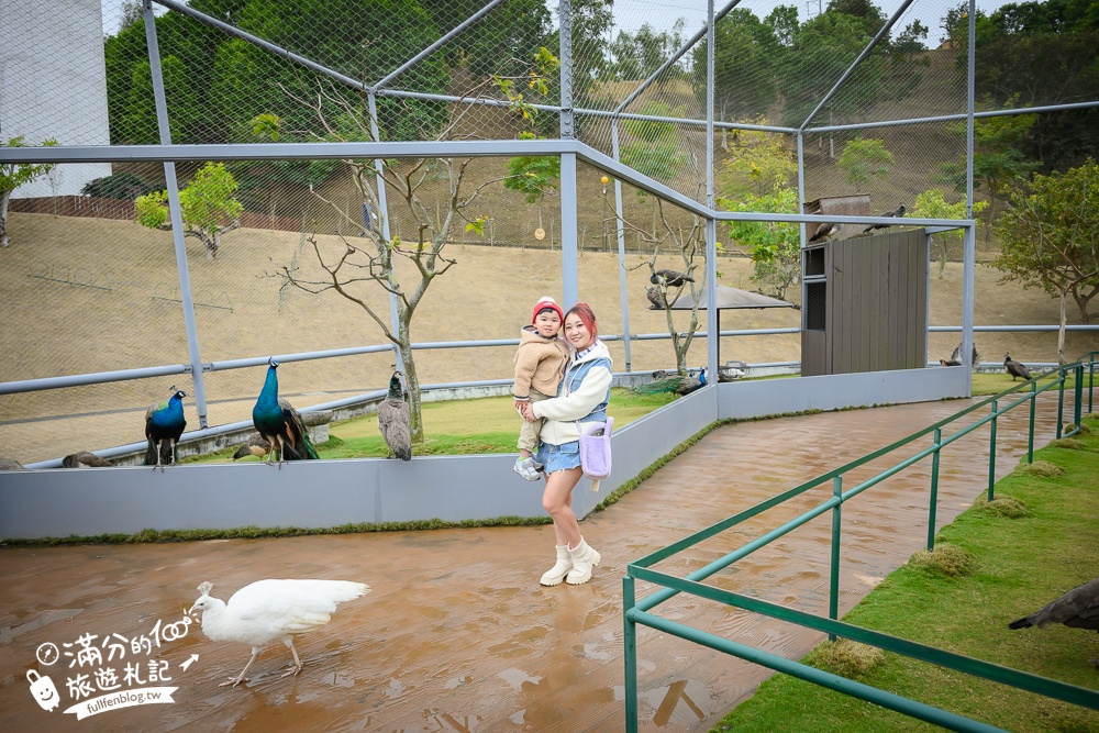 【2025南投九九峰動物樂園】亞洲規模最大鳥類主題王國玩樂攻略,最新門票優惠整理,鸚鵡.鵜鶘.孔雀.大恐龍陪你玩生態!