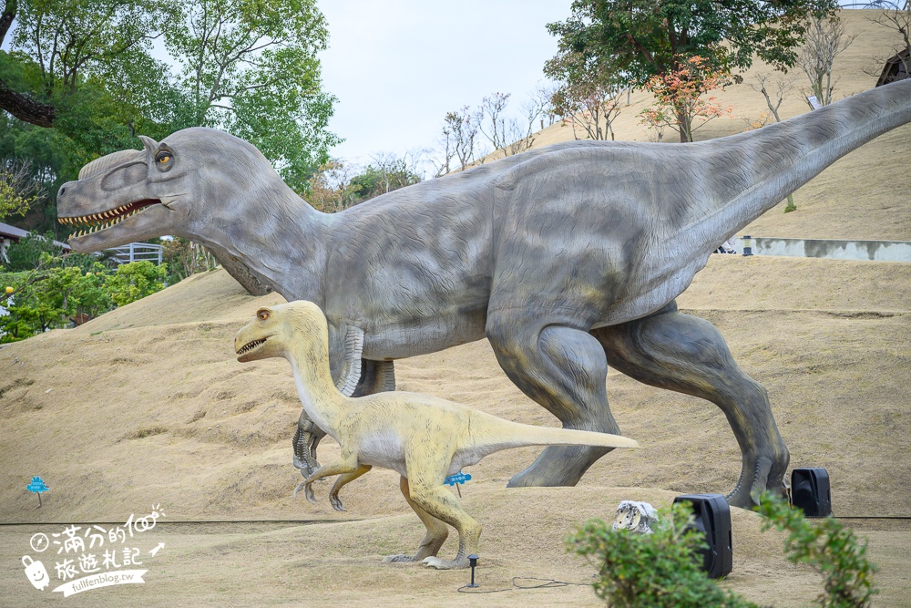 【2025南投九九峰動物樂園】亞洲規模最大鳥類主題王國玩樂攻略,最新門票優惠整理,鸚鵡.鵜鶘.孔雀.大恐龍陪你玩生態!