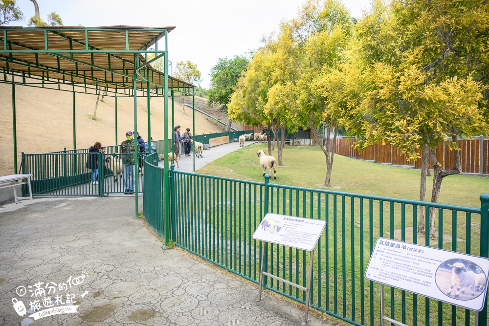 【2025南投九九峰動物樂園】亞洲規模最大鳥類主題王國玩樂攻略,最新門票優惠整理,鸚鵡.鵜鶘.孔雀.大恐龍陪你玩生態!