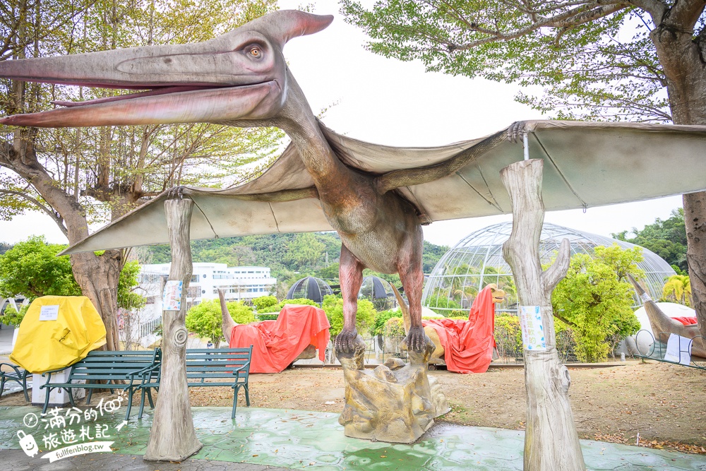 【2025南投九九峰動物樂園】亞洲規模最大鳥類主題王國玩樂攻略,最新門票優惠整理,鸚鵡.鵜鶘.孔雀.大恐龍陪你玩生態!