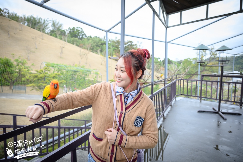 【2025南投九九峰動物樂園】亞洲規模最大鳥類主題王國玩樂攻略,最新門票優惠整理,鸚鵡.鵜鶘.孔雀.大恐龍陪你玩生態!