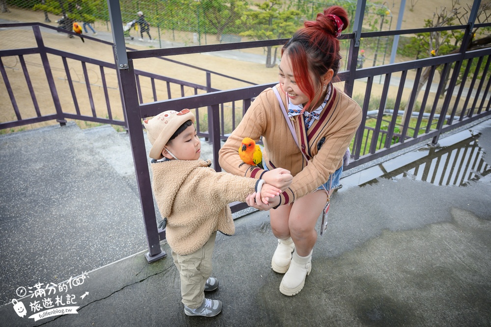 【2025南投九九峰動物樂園】亞洲規模最大鳥類主題王國玩樂攻略,最新門票優惠整理,鸚鵡.鵜鶘.孔雀.大恐龍陪你玩生態!