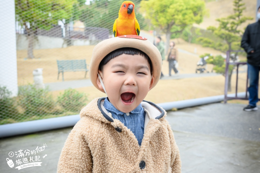 【2025南投九九峰動物樂園】亞洲規模最大鳥類主題王國玩樂攻略,最新門票優惠整理,鸚鵡.鵜鶘.孔雀.大恐龍陪你玩生態!