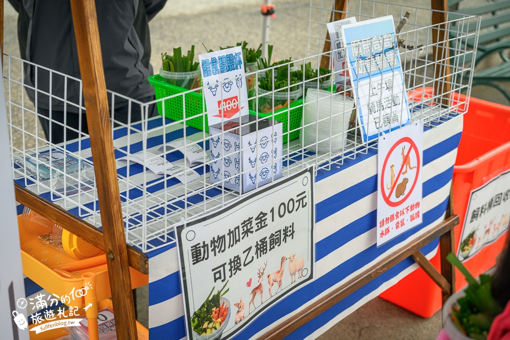 【2025南投九九峰動物樂園】亞洲規模最大鳥類主題王國玩樂攻略,最新門票優惠整理,鸚鵡.鵜鶘.孔雀.大恐龍陪你玩生態!