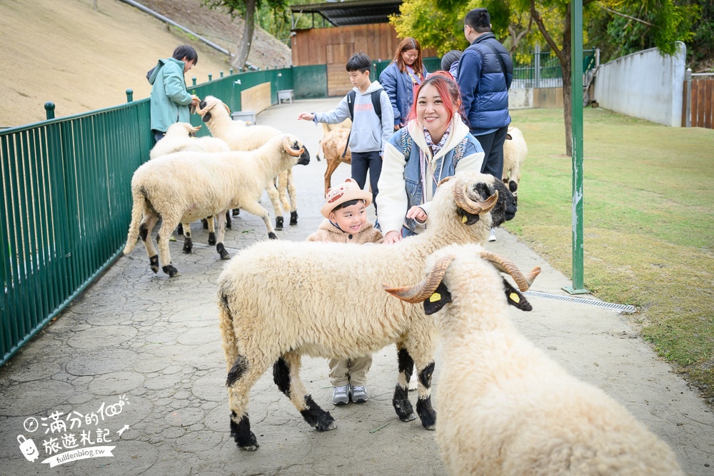 【2025南投九九峰動物樂園】亞洲規模最大鳥類主題王國玩樂攻略,最新門票優惠整理,鸚鵡.鵜鶘.孔雀.大恐龍陪你玩生態!