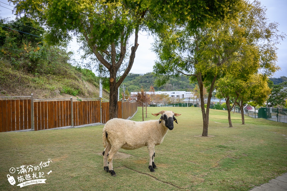 【2025南投九九峰動物樂園】亞洲規模最大鳥類主題王國玩樂攻略,最新門票優惠整理,鸚鵡.鵜鶘.孔雀.大恐龍陪你玩生態!