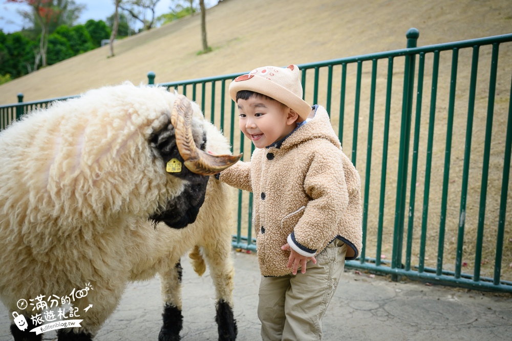 【2025南投九九峰動物樂園】亞洲規模最大鳥類主題王國玩樂攻略,最新門票優惠整理,鸚鵡.鵜鶘.孔雀.大恐龍陪你玩生態!