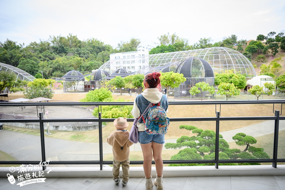 【2025南投九九峰動物樂園】亞洲規模最大鳥類主題王國玩樂攻略,最新門票優惠整理,鸚鵡.鵜鶘.孔雀.大恐龍陪你玩生態!