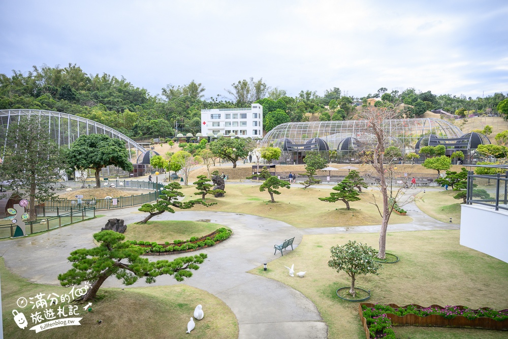 【2025南投九九峰動物樂園】亞洲規模最大鳥類主題王國玩樂攻略,最新門票優惠整理,鸚鵡.鵜鶘.孔雀.大恐龍陪你玩生態!