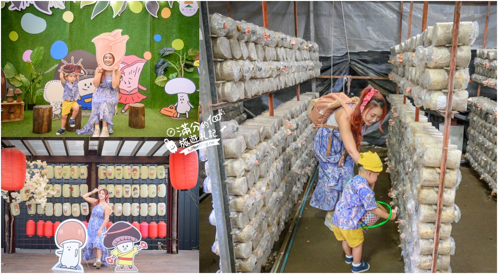 南投【豐年農場】埔里豐年靈芝菇類生態農場,免門票香菇主題休閒農場,體驗當菇農採菇.手作香菇披薩好好玩! @滿分的旅遊札記