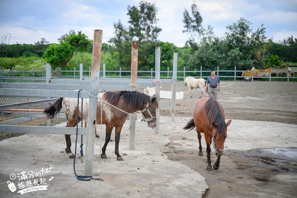 宜蘭親子騎馬體驗【宜騎緣沙灘馬場咖啡簡餐莊園】2歲小孩騎馬體驗好好玩,還能近距離互動餵食唷!