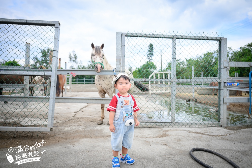宜蘭親子騎馬體驗【宜騎緣沙灘馬場咖啡簡餐莊園】2歲小孩騎馬體驗好好玩,還能近距離互動餵食唷!