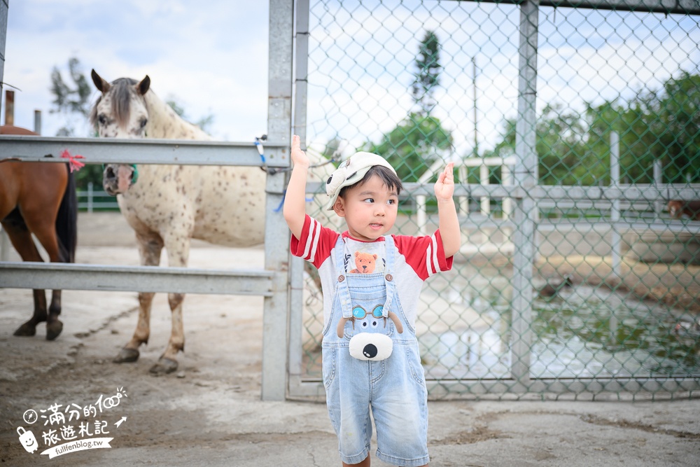 宜蘭親子騎馬體驗【宜騎緣沙灘馬場咖啡簡餐莊園】2歲小孩騎馬體驗好好玩,還能近距離互動餵食唷!