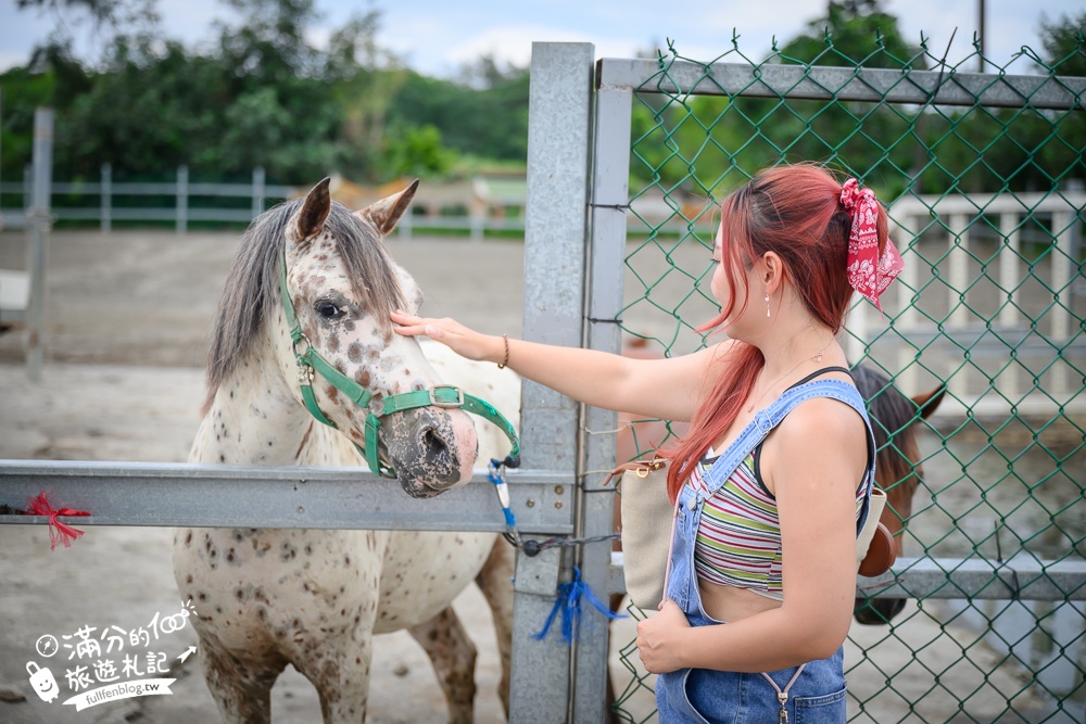宜蘭親子騎馬體驗【宜騎緣沙灘馬場咖啡簡餐莊園】2歲小孩騎馬體驗好好玩,還能近距離互動餵食唷!