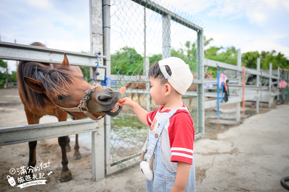 宜蘭親子騎馬體驗【宜騎緣沙灘馬場咖啡簡餐莊園】2歲小孩騎馬體驗好好玩,還能近距離互動餵食唷!