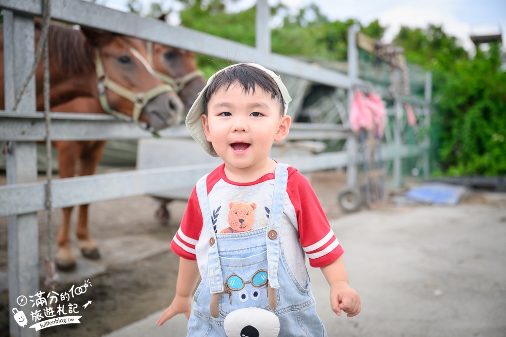 宜蘭親子騎馬體驗【宜騎緣沙灘馬場咖啡簡餐莊園】2歲小孩騎馬體驗好好玩,還能近距離互動餵食唷!