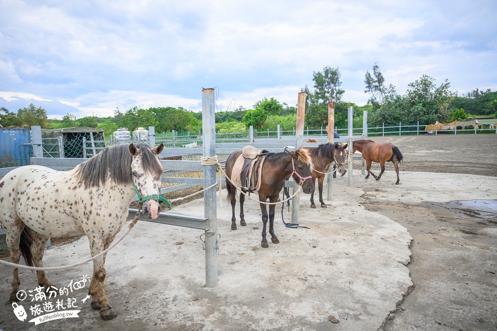 宜蘭親子騎馬體驗【宜騎緣沙灘馬場咖啡簡餐莊園】2歲小孩騎馬體驗好好玩,還能近距離互動餵食唷!