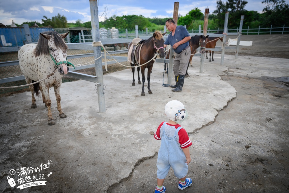 宜蘭親子騎馬體驗【宜騎緣沙灘馬場咖啡簡餐莊園】2歲小孩騎馬體驗好好玩,還能近距離互動餵食唷!