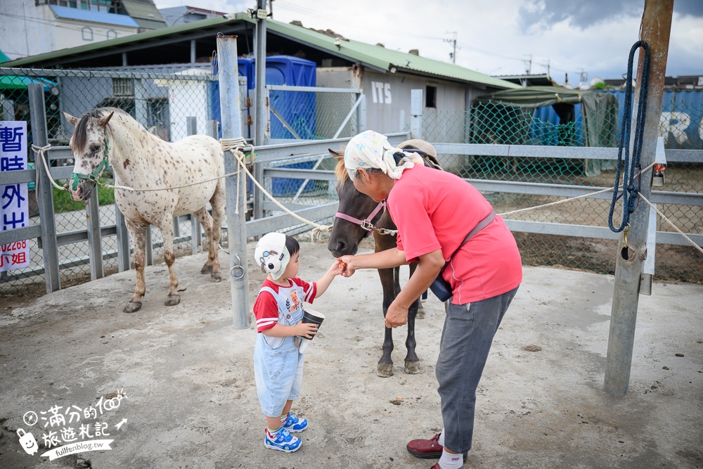宜蘭親子騎馬體驗【宜騎緣沙灘馬場咖啡簡餐莊園】2歲小孩騎馬體驗好好玩,還能近距離互動餵食唷!