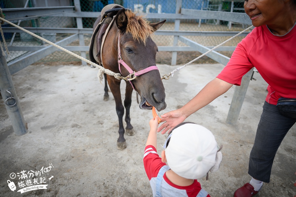宜蘭親子騎馬體驗【宜騎緣沙灘馬場咖啡簡餐莊園】2歲小孩騎馬體驗好好玩,還能近距離互動餵食唷!