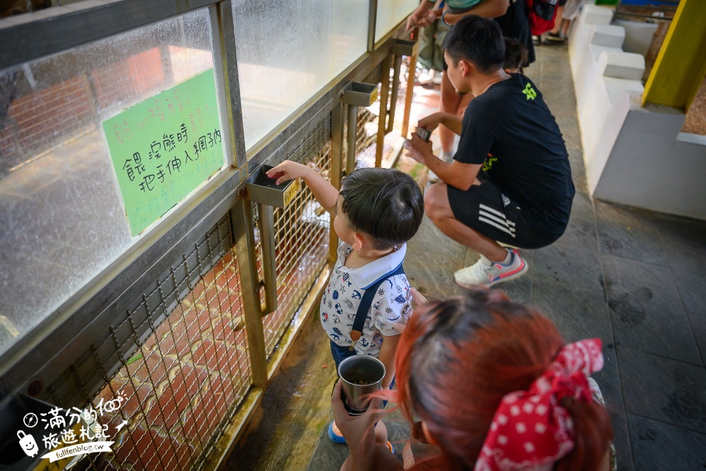 宜蘭【水鹿咖啡親子館】礁溪超狂親子餐廳,兒童遊戲區免費玩,農場餵動物,還能挑戰最新踩踩飛車!